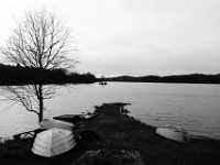 DSC01595